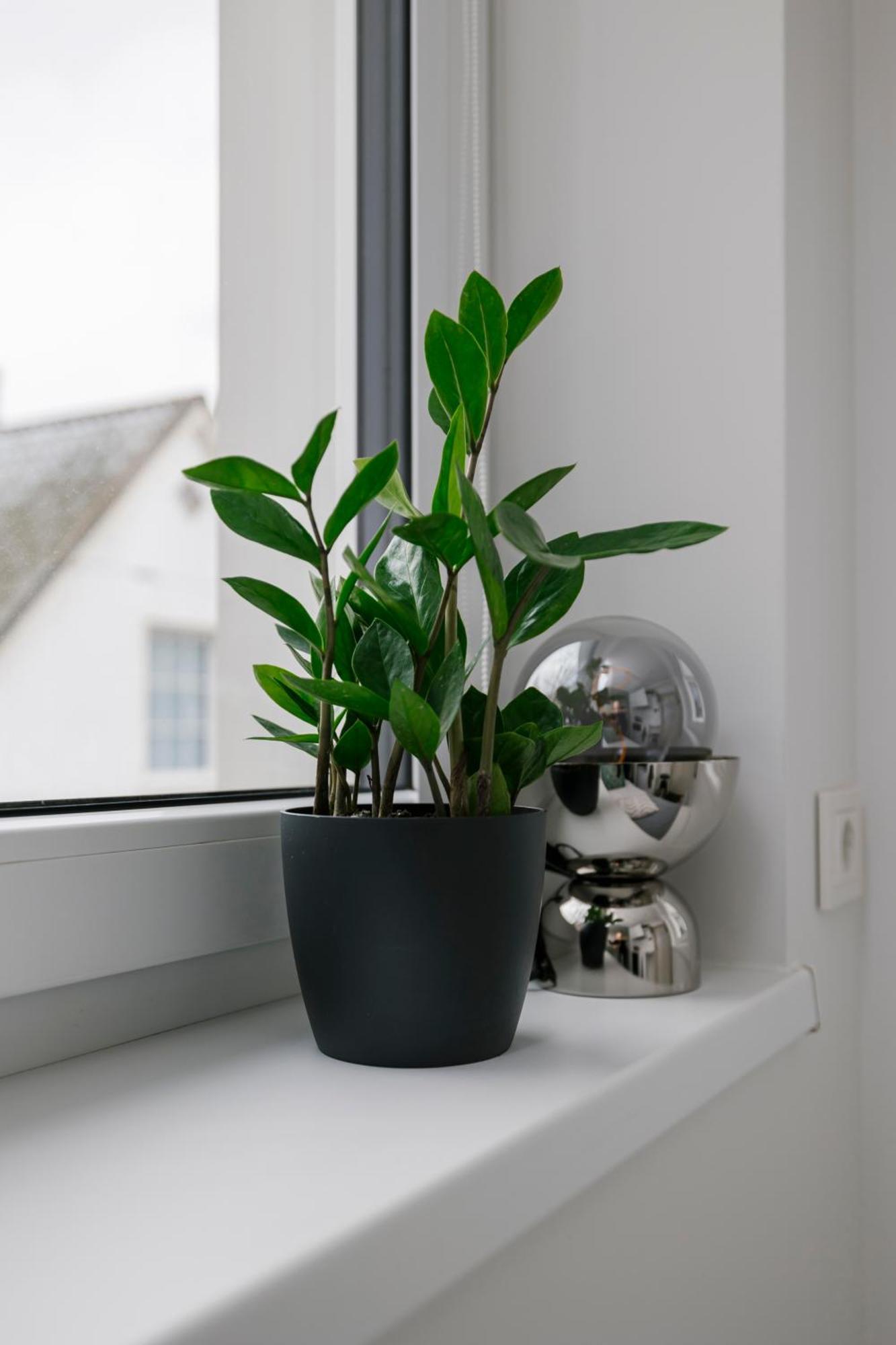 Apartment For One - White Tallinn Extérieur photo